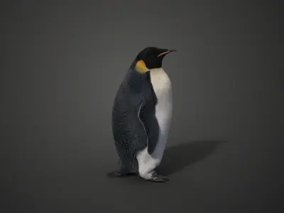Emperor Penguin Animated  VFX Grace 3D model
