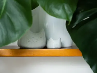 Cute cat bowl 1-year commercial licence 3D print model