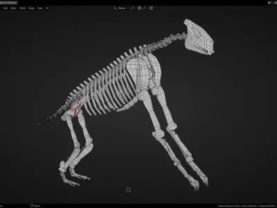 Realistic Mammals Fossil - Bundle Edition Low-poly 3D model