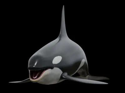 Orca killer whale Low-poly 3D model