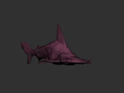 hammerhead shark Low-poly 3D model