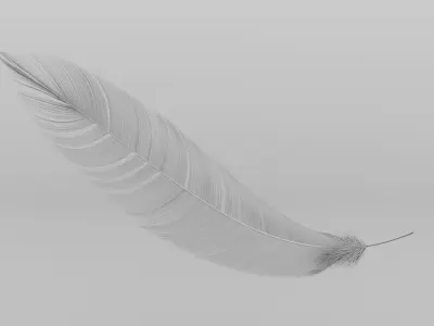 Set of 8 high quality feathers 3D model