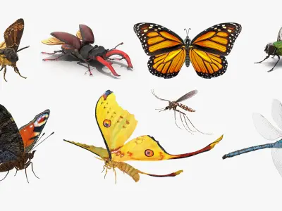 Rigged Flying Insects Collection 3 for Maya 3D model