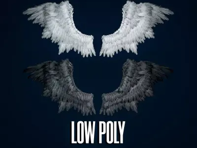 Wings Low-poly 3D model