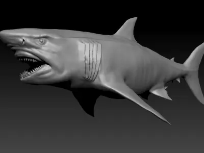 Megalodon SCULPT Project 3D model
