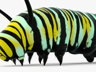 Monarch Butterfly Caterpillar Fur 3D model