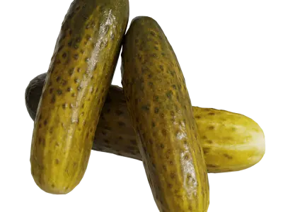  Pickle Models 