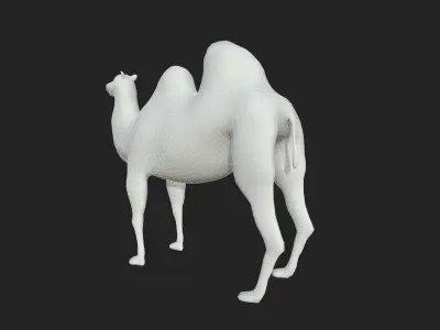 Camel Low-poly Low-poly 3D model