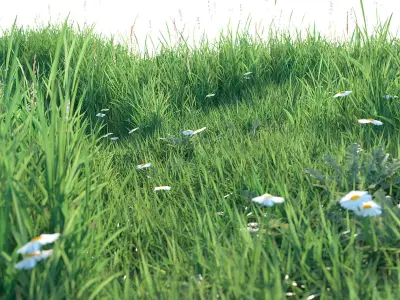 Grass set 3D model