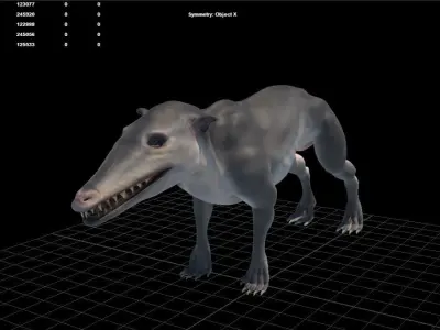 Pakicetus 3D Model skulls of three different animals 3D model