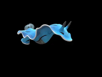 Aqua marine Sea Creature 3D model