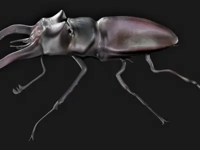 Stag Beetle Rigged Low-poly 3D model
