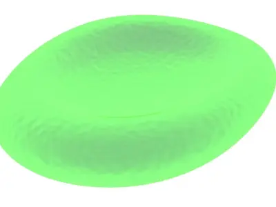 Leech Blood Cell 3D model