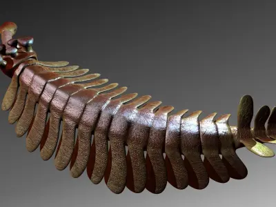 opabinia 3D model