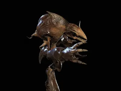 Collector Low-poly 3D model