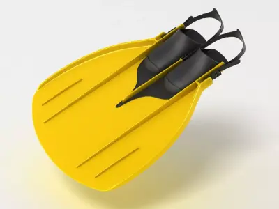 Flipper Fins 3D model