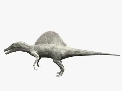 Spinosaurus - rigged 3D model