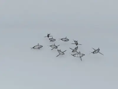 Tan Tunny fishes Free 3D model