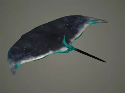 mantaray manta ray mantas devil fish shark giant reef  3D model