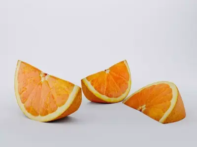 Orange Slice 3D model