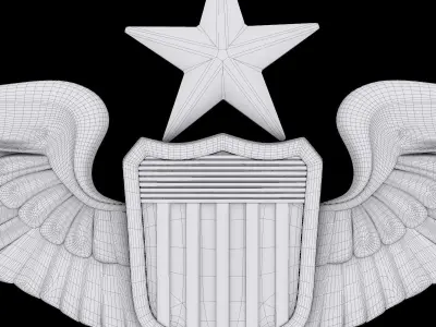 Senior Pilot USAF Wings Badge 3D model