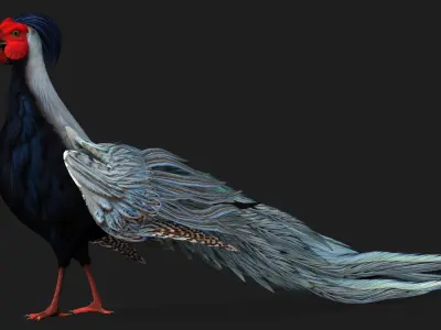 White Pheasant-A2 3D model