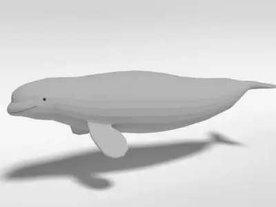 Low Poly Cartoon Beluga Whale Low-poly 3D model