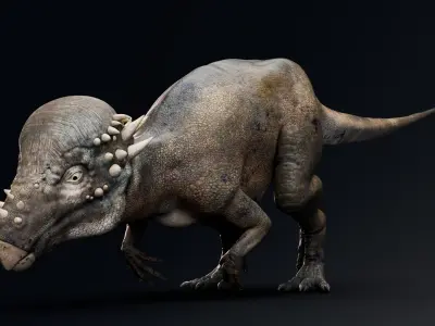 Dinosaur Pachycephalosaurus Low-poly 3D model