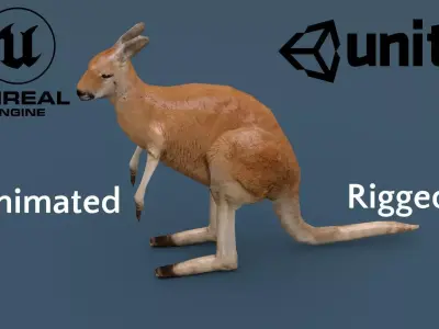 Kangaroo Animated Rigged Low-poly 3D model
