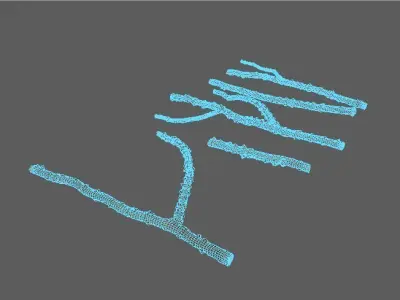 Small Branches 3D model