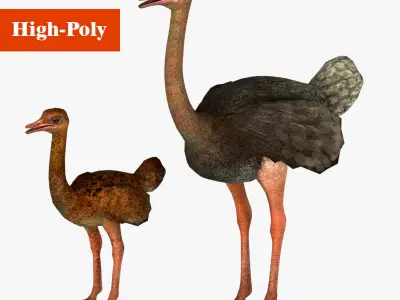 adult ostrich and ostrich chick  rig  high-poly  textured  3D model