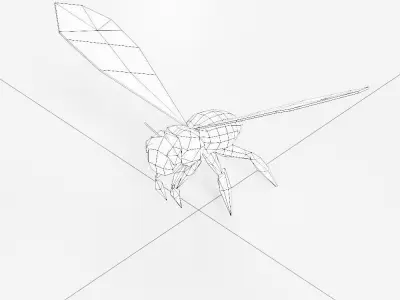 Honey Bee 3d model  Low-poly 3D model