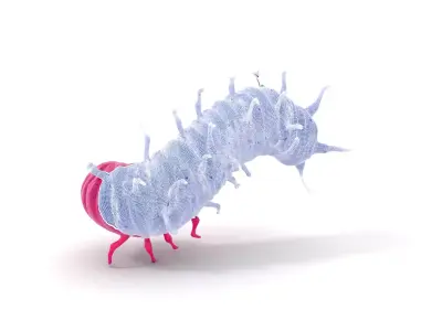 Bright Pink Caterpillar model pack Low-poly 3D model