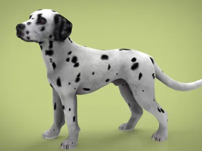 DALMATIAN dog Low-poly 3D model