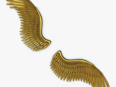 Eagle Wings Gold v 2 3D model