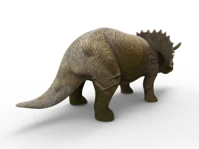 Realistic Triceratops Rigged  Animated 3D Model Low-poly 3D model
