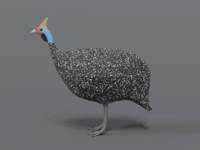 Low Poly Cartoon Helmeted Guineafowl Low-poly 3D model