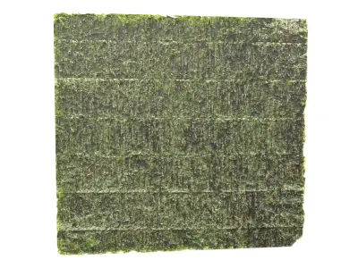 Nori v1 001 Low-poly 3D model