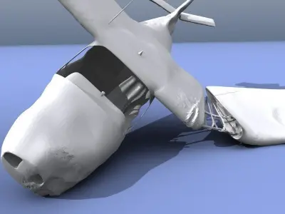 Plane Wreck 3D model