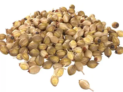 Spice Collection v2  Low-poly 3D model