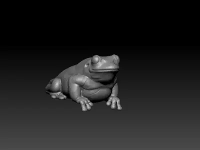 Marvelous Frog sculpt 3D model
