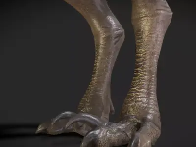 Kelenken V2 Low-poly 3D model