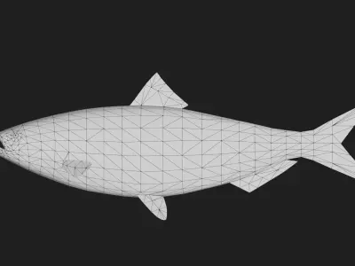 Herring Low-poly 3D model