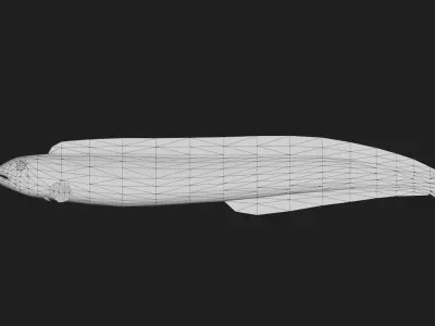 Gunnel Low-poly 3D model