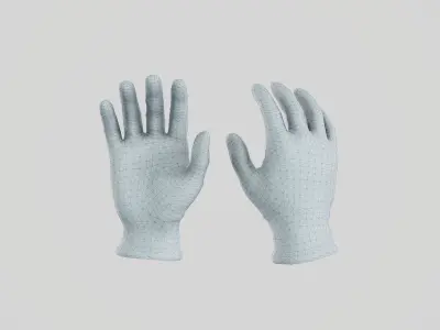 Nomex Flight Gloves Low-poly 3D model