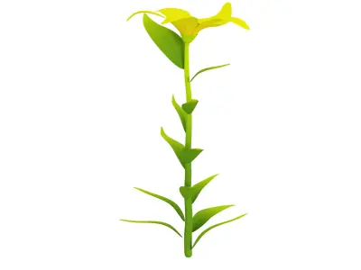 Plant 3D model