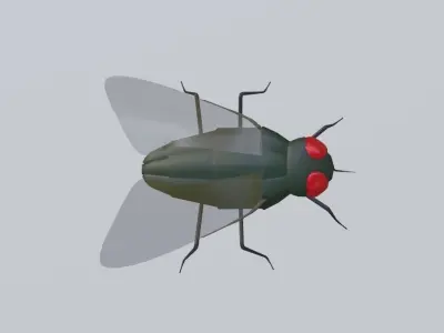 Mosquito - Fly Low-poly 3D model