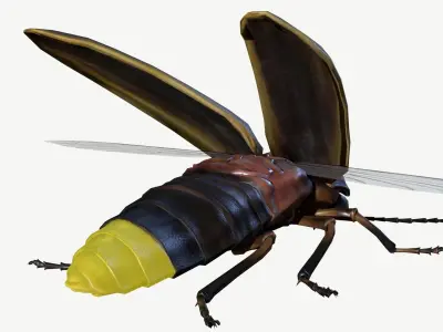 Firefly Low-poly 3D model