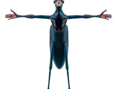 Cobalt Bug Humanoid model pack Low-poly 3D model