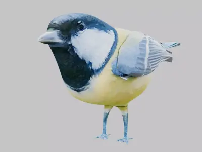 Titmouse 3D model